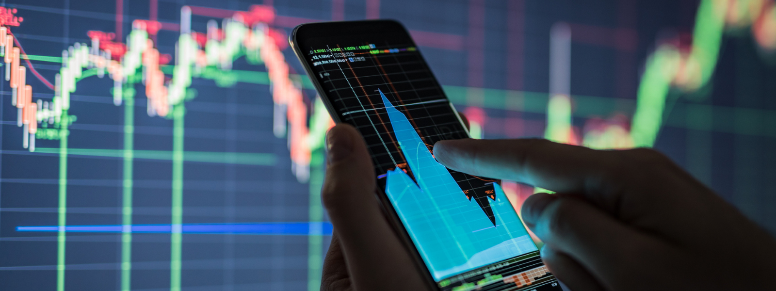 BSc Financial Risk Management Information Webinar - Website Banner